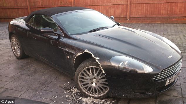 DB9 Volante damaged by dog